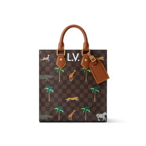 Mini Sac Plat x The Darjeeling Limited Bag