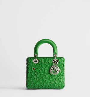 Small Lady Dior Bag with Strap