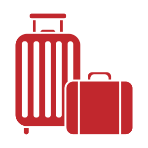 Travel Luggage Full Service Check + Deep Cleaning + All tyre change and Balancing